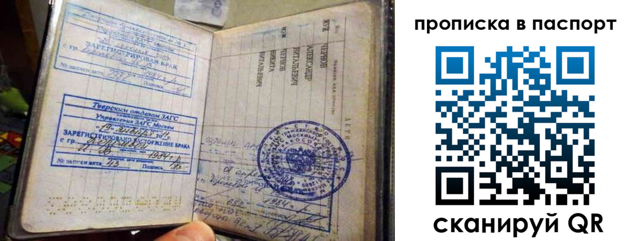 прописка поиск в Шадринске